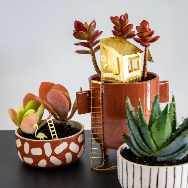 boomhut kamerplant cadeau