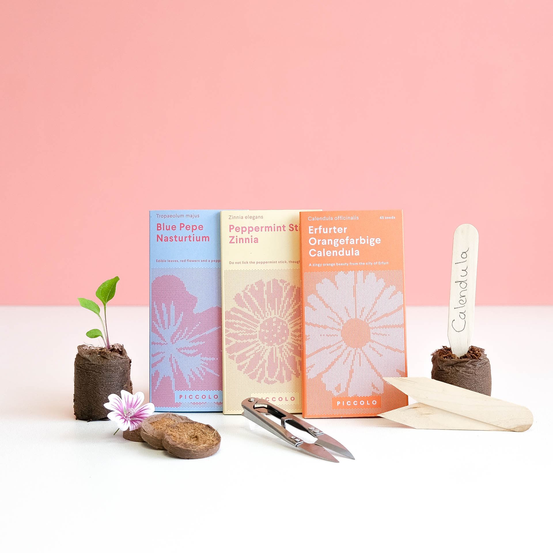 brievenbus cadeau eetbare bloemen zaden pakket moestuin cadeau pynappel
