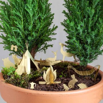 camping kamerplant cadeau urban jungle