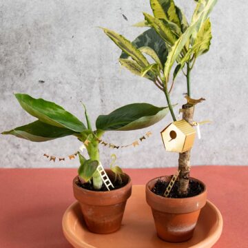 vogelhuisje kamerplant messing