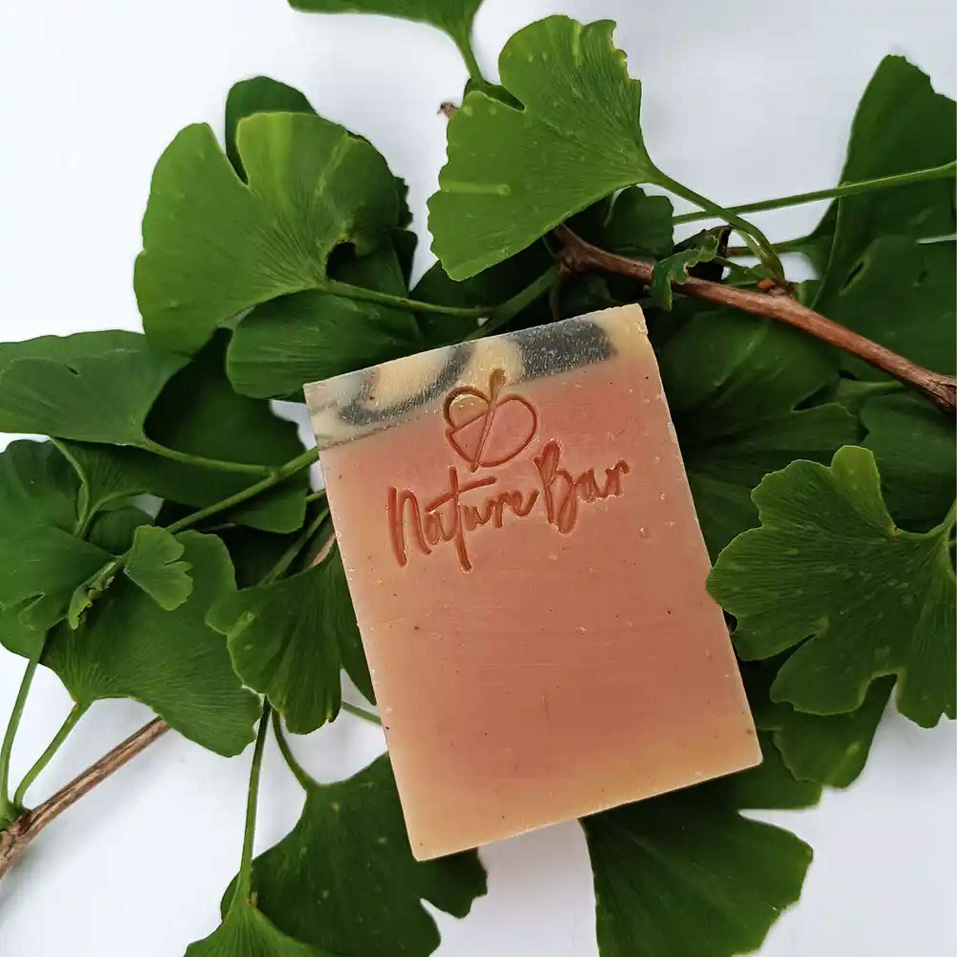 ginkgozeep naturebar