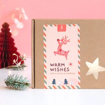 brievenbus cadeau kerst brievenbuscadeau zelf samenstellen geluksmomentje kerstcadeau versturen brievenbuscadeautje pynappel