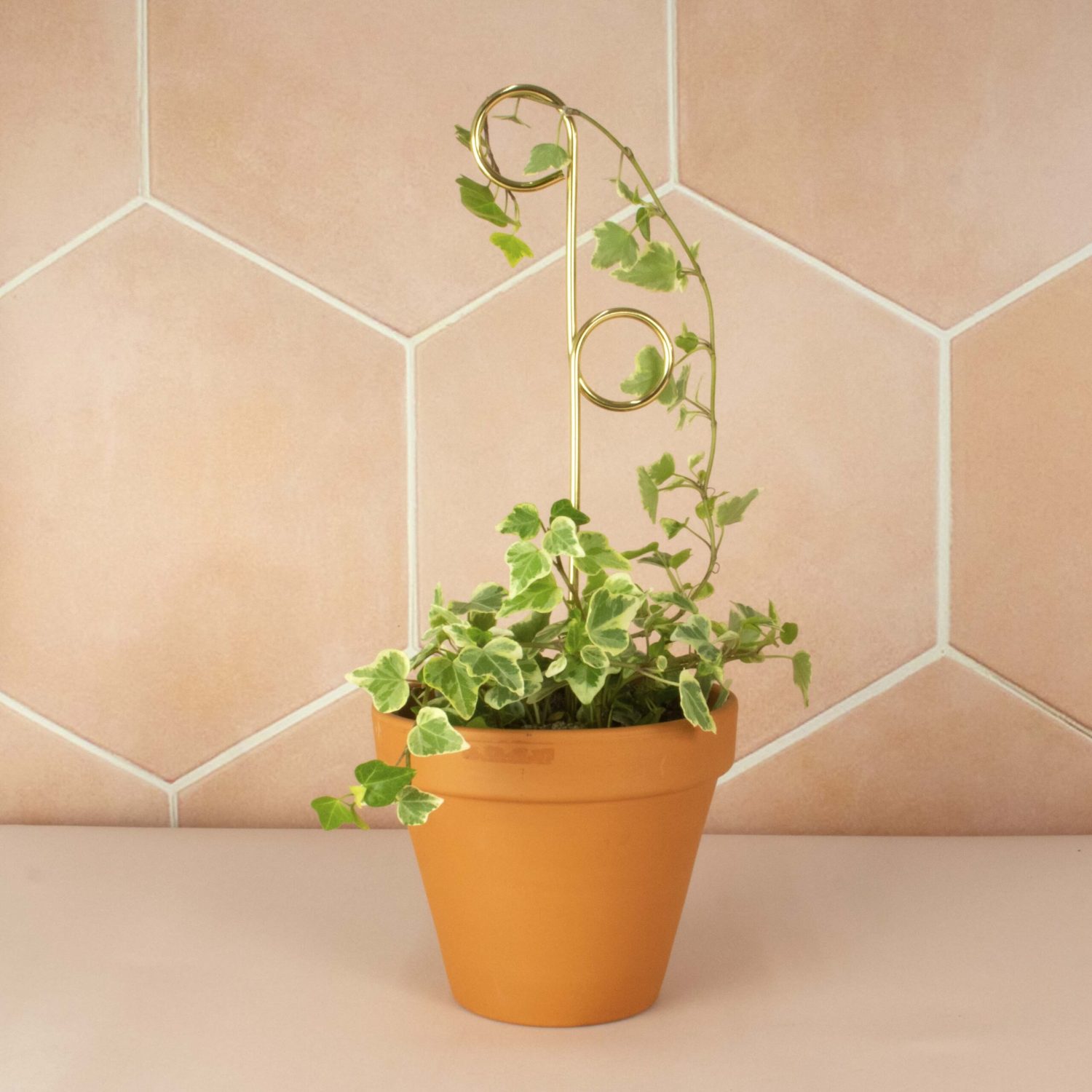 kleine plantensteun perch messing goudkleurig mini botanopia pynappel