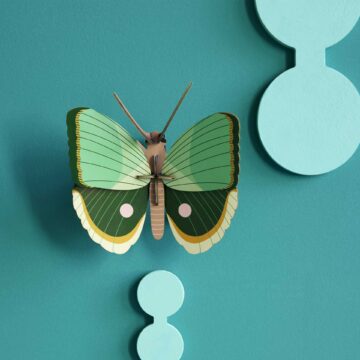 muurdecoratie vlinder studio roof fern striped butterfly 3d vlinder pynappel brievenbus cadeau