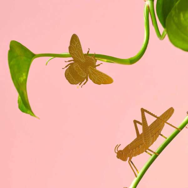 plant animal grasshopper plantenbeestje sprinkhaan another studio pynappel brievenbus cadeau