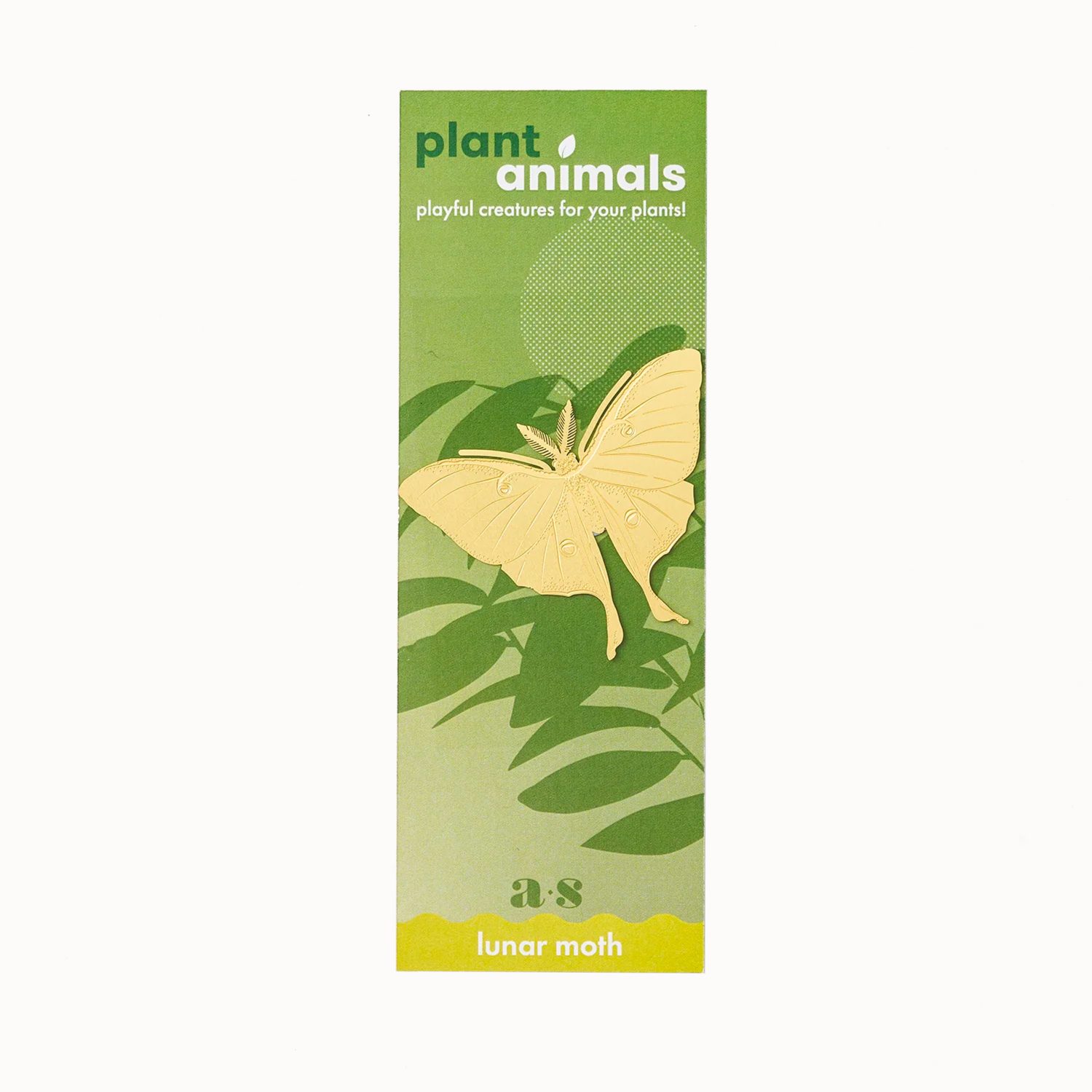 plant animal lunar moth gouden plantenbeestje mot pynappel uden