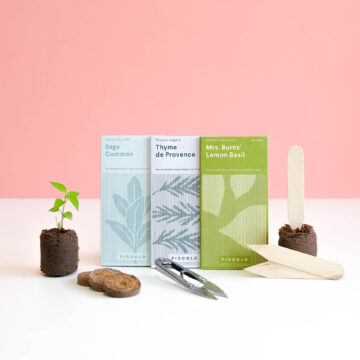 verse kruiden brievenbus cadeau moestuin snipschaartje kokos tablet pynappel