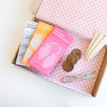 zaadjes cadeau brievenbuscadeau zadenpakket naar keuze 3 stuks pynappel