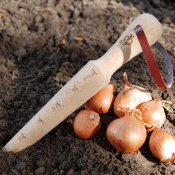 pootstok moestuin berkenhout cadeau plantenliefhebber pynappel