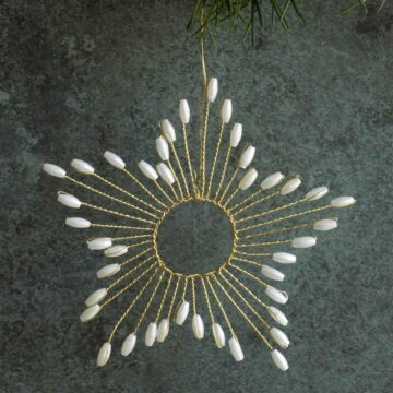 noorderster sterhanger ster ornament