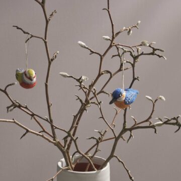 vilten vogeltje ijsvogel gry and sif kingfisher bird