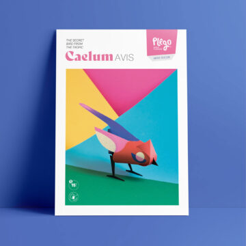 papieren vogel decoratie caelum avis papieren vogel 3d vogel plego paper design vogel pynappel