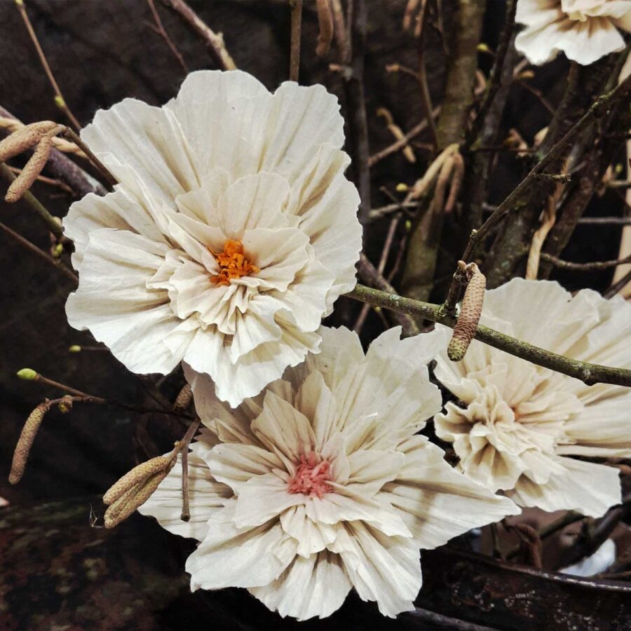 betekenisvol cadeau wishing bloom anemoon lotus handgeschept papier nepal fair trade
